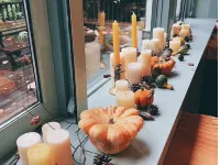 Guest House Mominoki - Pet friendly
