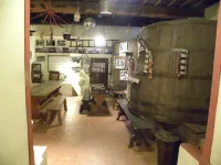 Rustic Elegance Near Florence