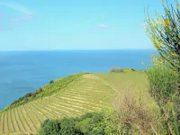 Hillside Comfort in Tavullia