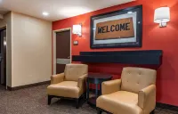 Extended Stay America Suites - Rochester - North - Kitchenette