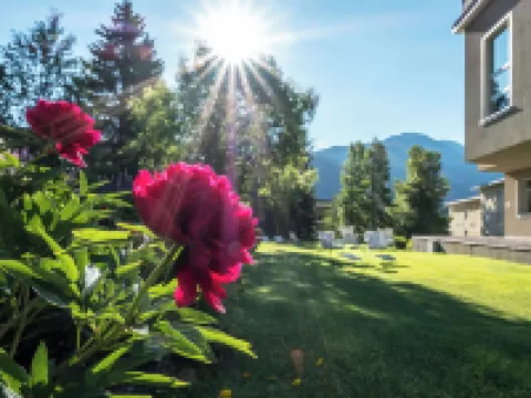 Hotel Edelweiss Hotels in Davos