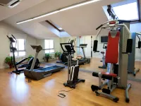 Hotel Alfonso VIII - Gym