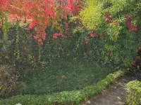 Golden Flower Hotel Hotel a Tirana