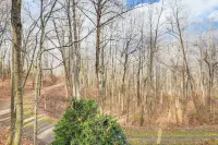 Quiet Family Cabin in Balsam: Hike, Ski, Explore - 2-Star