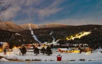 Charming 3-bedroom Angel Fire cabin