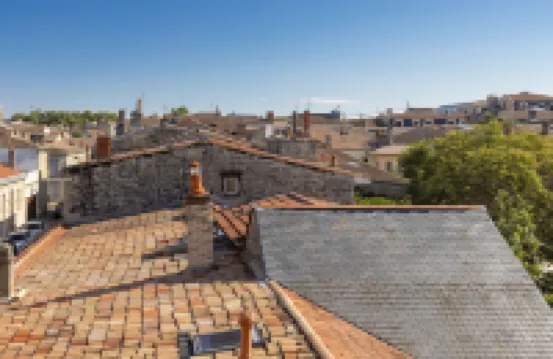 เลสเซระฟีนส์