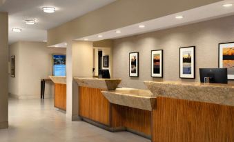 Hilton Stockton