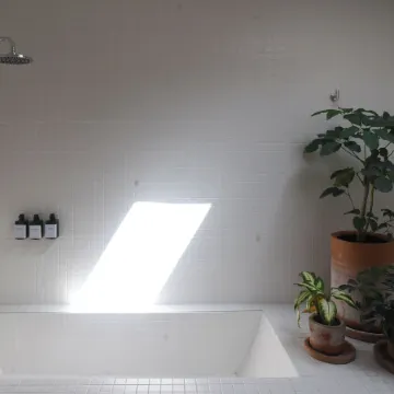 Bauer Haus