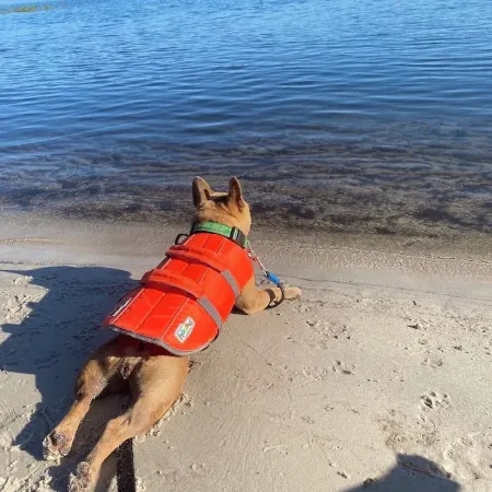 Perfect Lakefront Getaway on clear deep private lake 20 min from Gainesville