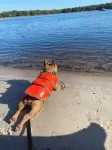 Perfect Lakefront Getaway on clear deep private lake 20 min from Gainesville