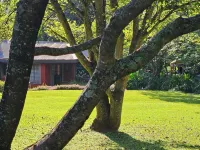 Lidwala Lodge Hotels in Lobamba