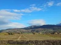 Il Peppolo Country House Hotels in Pelago