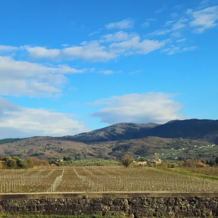 Il Peppolo Country House