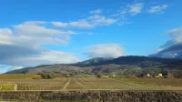 Il Peppolo Country House - Wifi