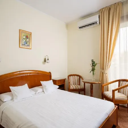Hotel Sarmis Hotels in Deva