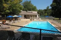 Treetop Mountain Escape - Fireplace, Views & Pool - Pool