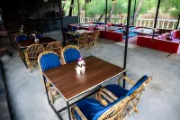 Vintage Beach Resort - Wifi