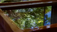 錦綉山荘 - マウンテンビュー