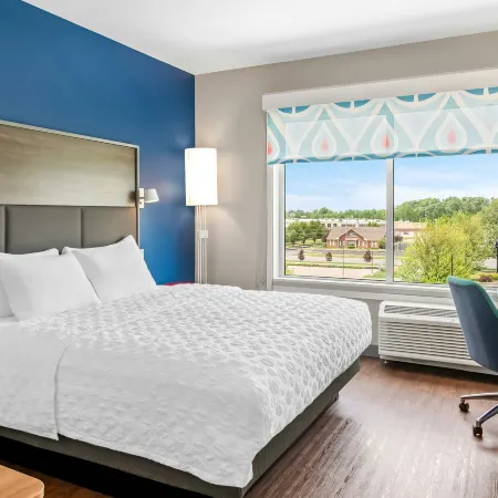 Tru by Hilton Holland MI