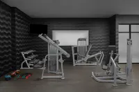 AC Hotel Lansing University Area - Gym