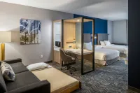 SpringHill Suites Canfield - 3-Star