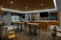 大急流城機場東南萬豪SpringHill酒店 - 酒吧