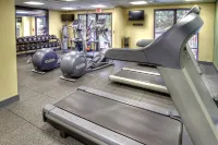 Hampton Inn & Suites Asheville Airport - Gym