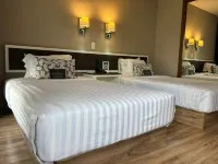 Hotel Plaza Revolución - Bar