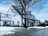Mole Hotels in 