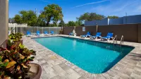 Best Western Tampa - 3 Yıldız