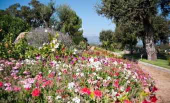 Le Roc e Fiori Hotel