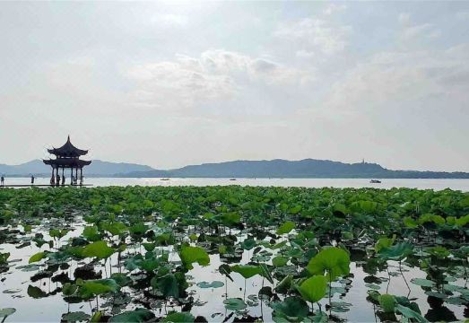 West Lake Begonia Art Homestay