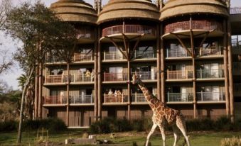 Disney's Animal Kingdom Villas - Jambo House