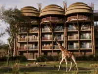 Disney's Animal Kingdom Villas - Jambo House Hotels in Bay Lake