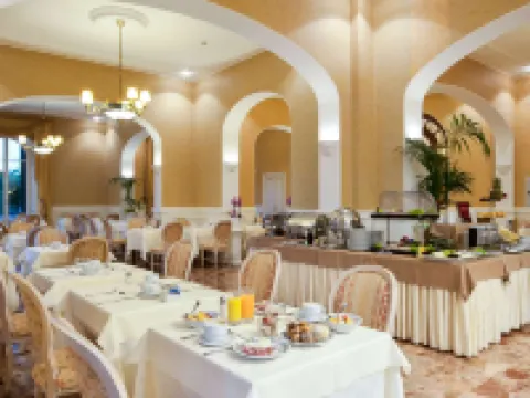 皇家大酒店 維亞雷焦酒店