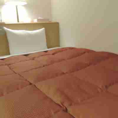 水海道第一ホテル Rooms