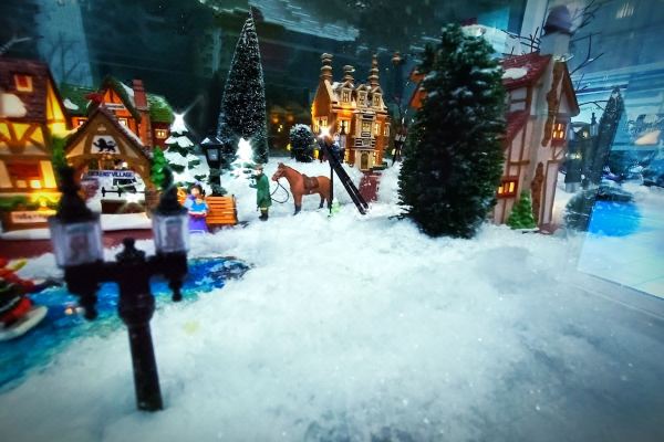 Common Living(คอมมอน ลีฟวิ่ง)_2