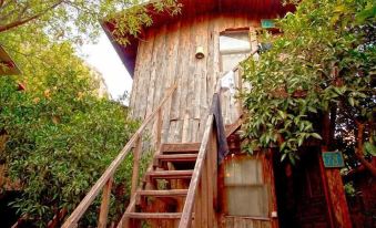 Bayrams Tree Houses