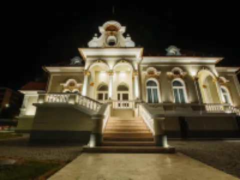 Boutique Hotel Cocosul de Aur Hotels in Targu Mures