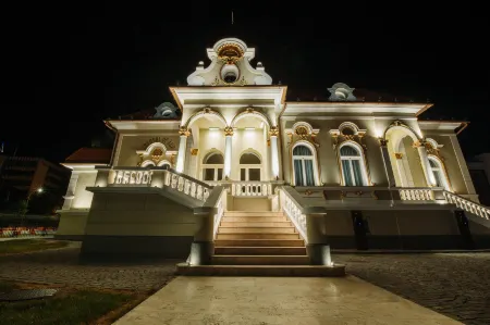 Boutique Hotel Cocosul de Aur Отели рядом с достопримечательностью «The Palace of Culture in Târgu Mureș»