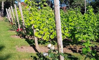 Furulidens B & B - Housity