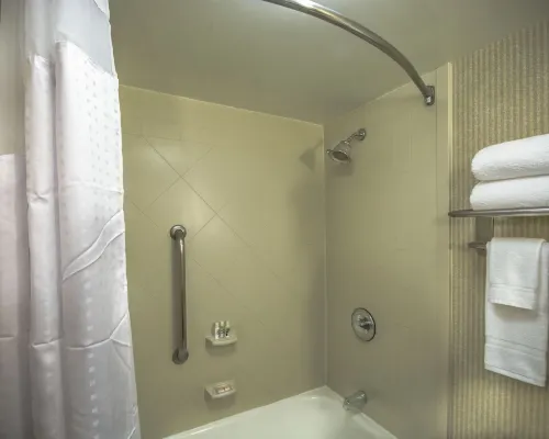 Holiday Inn ARLINGTON AT BALLSTON by IHG Kamar Photos
