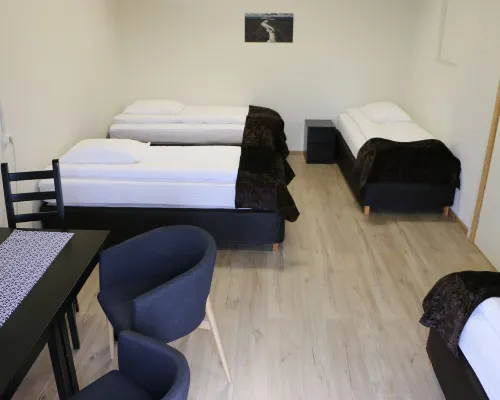 Dettifoss Guesthouse Hotels in Nordurthing