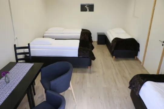 Dettifoss Guesthouse Hotels in 