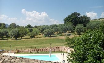 Agriturismo Forestale Luti