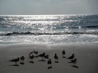 Carisbrooke Inn Bed & Breakfast Hotels in Ventnor City