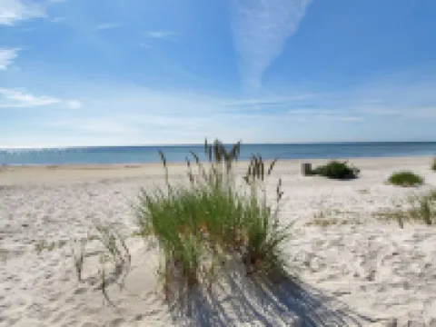 "Jose" - 300m from the Sea