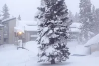 St Anton Courtyard View Ski-in and Out 1 Bedroom Condo Hotels in Mammoth Lakes