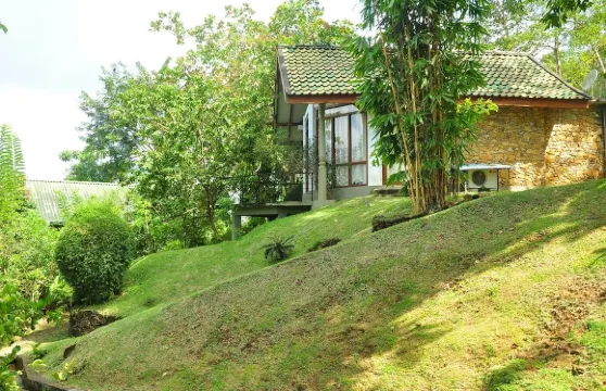 自然愛好者度假村