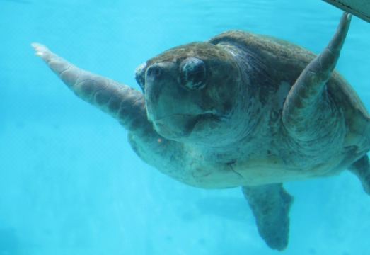 오키나와 게스트하우스의 아늑한 인테리어